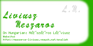 liviusz meszaros business card